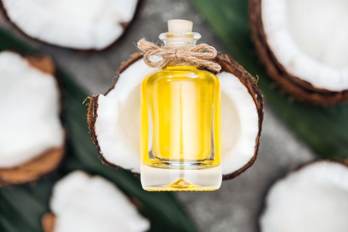 🥥 Huile De Noix De Coco Parfait Anti Tiques Puces Et Autres 